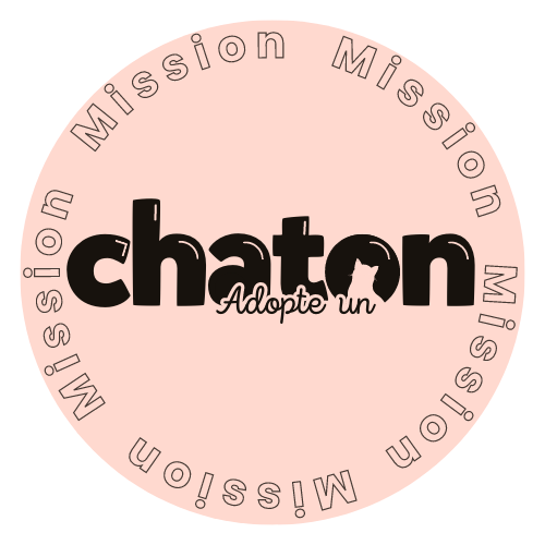 Programme MISSION : Adopte un chaton
