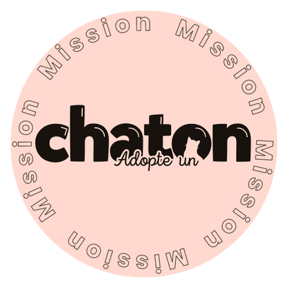 Programme MISSION : Adopte un chaton